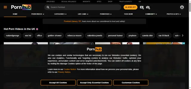 Pornhub Site to Sell Homemade Porn and Make Money