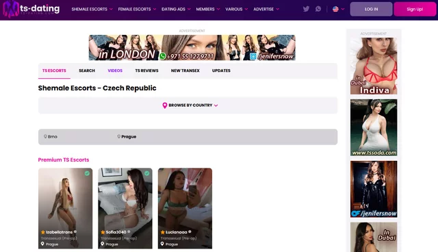 The Spectrum of Desire: Understanding Shemale Escorts and TS Escorts