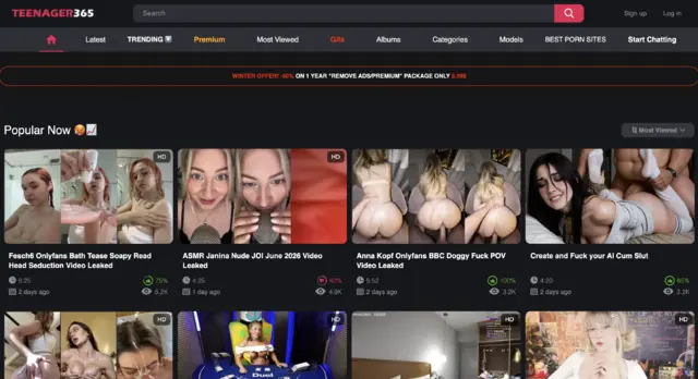 The Growing Importance of User-Friendly Entertainment Websites