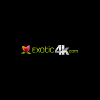 Exotic4k